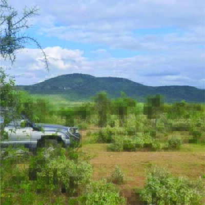 namamnga-01-400×400